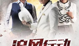 电视剧追风行动,揭秘风暴中的正义风暴