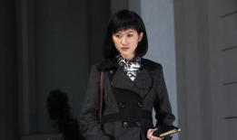 电视剧暗花分集剧情介绍,错综复杂的复仇之路，揭秘人性的黑暗面