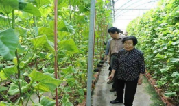 爆料吃瓜网红是谁呀图片,吃瓜网红身份大曝光！网友热议背后的真相