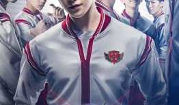 竞技类电视剧,梦想与荣耀的较量